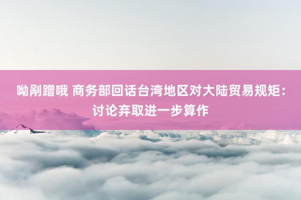 呦剐蹭哦 商务部回话台湾地区对大陆贸易规矩：讨论弃取进一步算作