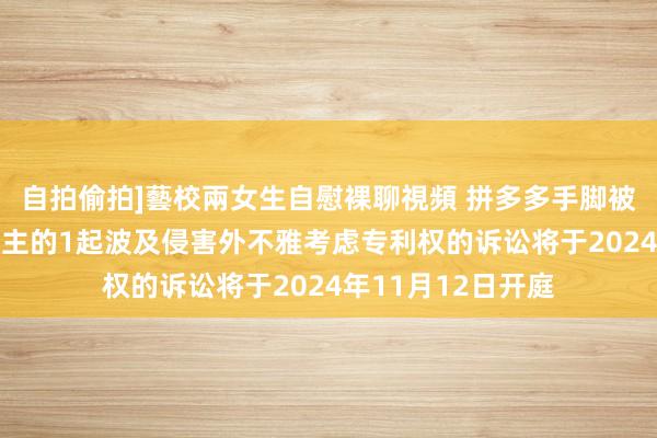 自拍偷拍]藝校兩女生自慰裸聊視頻 拼多多手脚被告/被上诉东说念主的1起波及侵害外不雅考虑专利权的诉讼将于2024年11月12日开庭