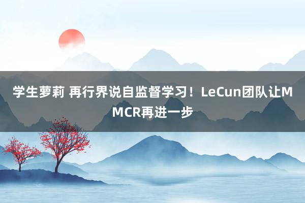 学生萝莉 再行界说自监督学习！LeCun团队让MMCR再进一步