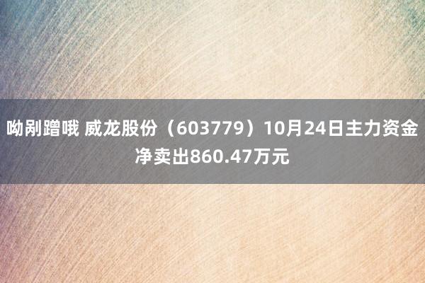 呦剐蹭哦 威龙股份（603779）10月24日主力资金净卖出860.47万元
