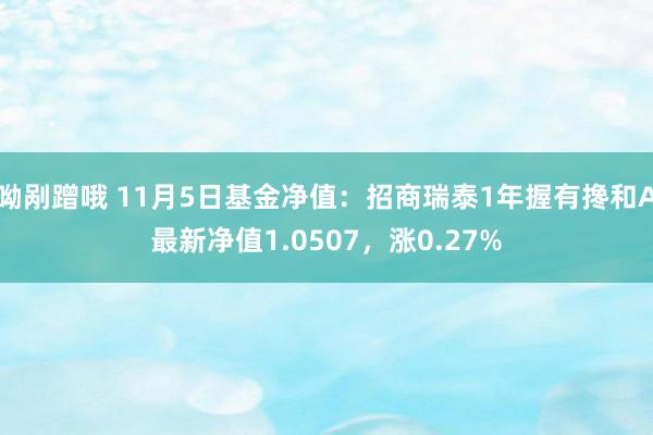 呦剐蹭哦 11月5日基金净值：招商瑞泰1年握有搀和A最新净值1.0507，涨0.27%