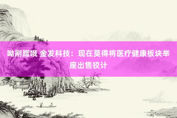 呦剐蹭哦 金发科技：现在莫得将医疗健康板块举座出售狡计