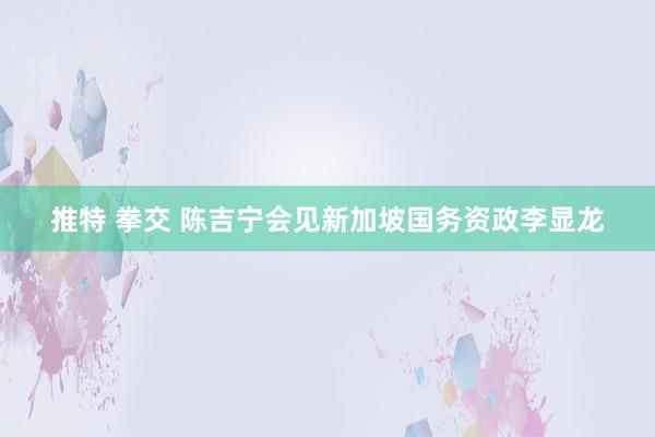 推特 拳交 陈吉宁会见新加坡国务资政李显龙