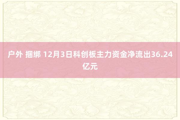 户外 捆绑 12月3日科创板主力资金净流出36.24亿元