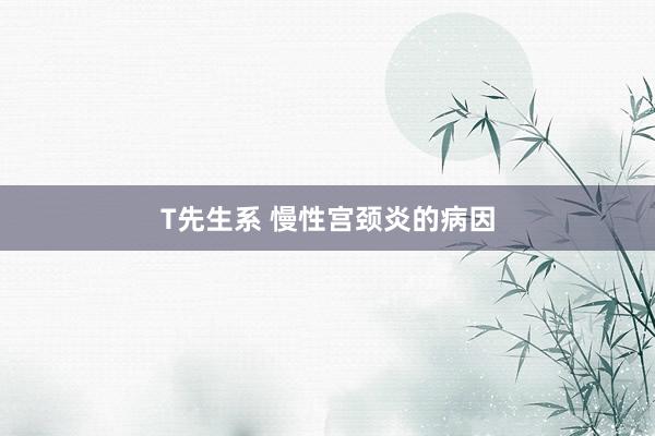 T先生系 慢性宫颈炎的病因