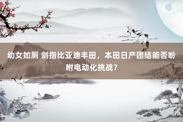 幼女如厕 剑指比亚迪丰田，本田日产团结能否吩咐电动化挑战？