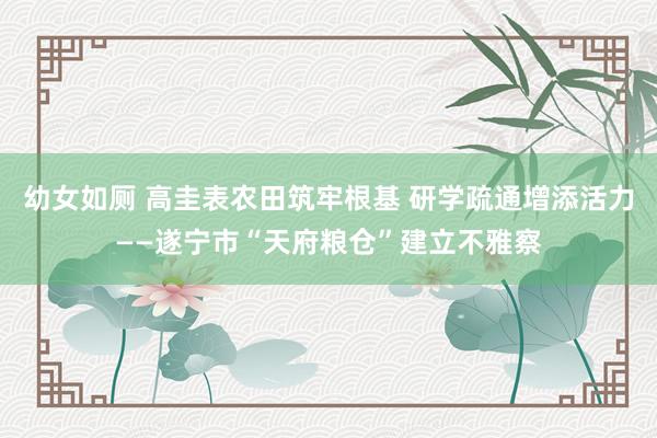 幼女如厕 高圭表农田筑牢根基 研学疏通增添活力——遂宁市“天府粮仓”建立不雅察