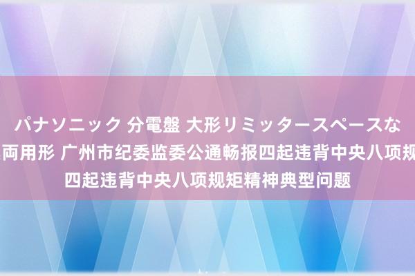 パナソニック 分電盤 大形リミッタースペースなし 露出・半埋込両用形 广州市纪委监委公通畅报四起违背中央八项规矩精神典型问题