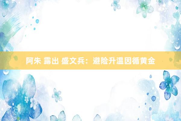 阿朱 露出 盛文兵：避险升温因循黄金