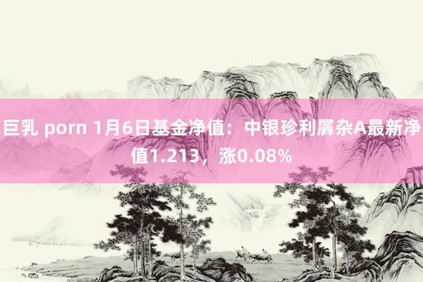 巨乳 porn 1月6日基金净值：中银珍利羼杂A最新净值1.213，涨0.08%