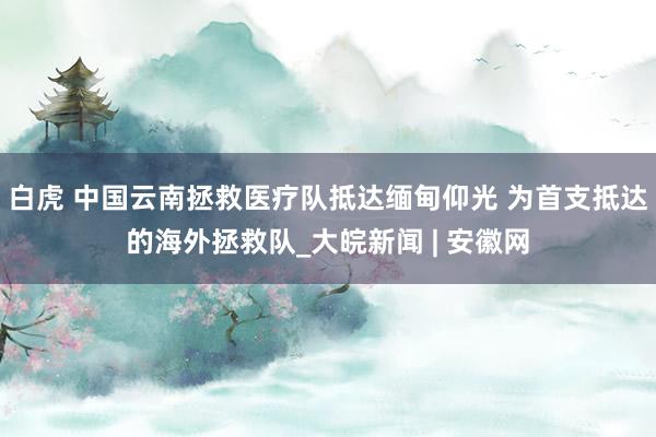 白虎 中国云南拯救医疗队抵达缅甸仰光 为首支抵达的海外拯救队_大皖新闻 | 安徽网