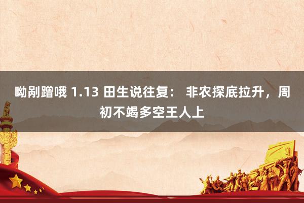 呦剐蹭哦 1.13 田生说往复： 非农探底拉升，周初不竭多空王人上