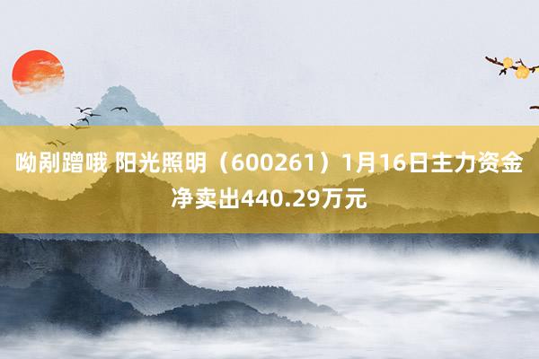 呦剐蹭哦 阳光照明（600261）1月16日主力资金净卖出440.29万元